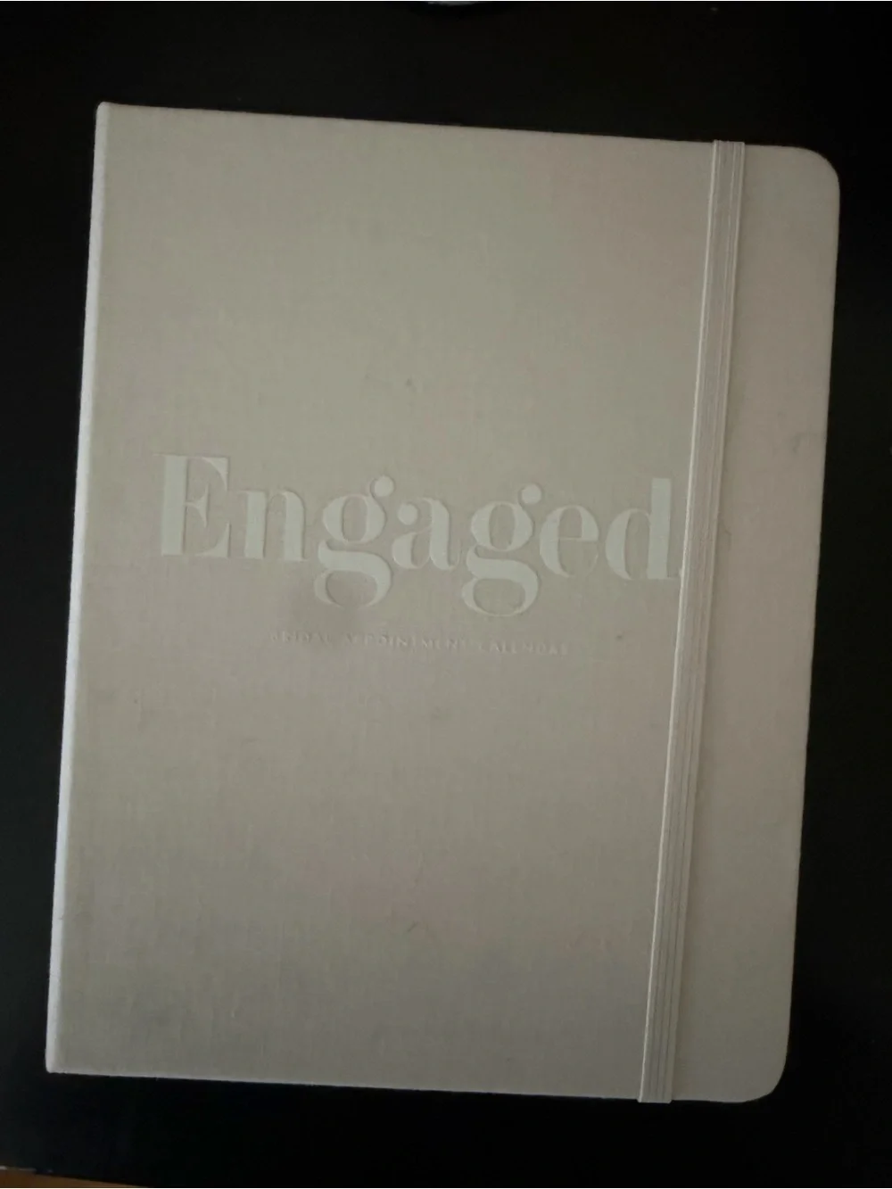 Kate Spade Engaged Light Pink Hardcover Planner with Elastic Closure